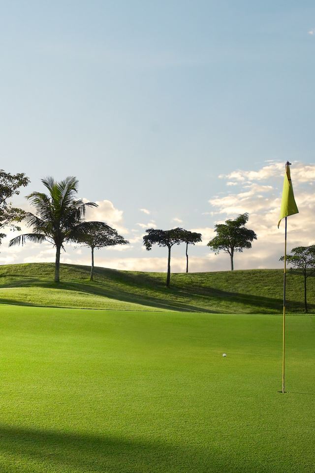 640x960 Golf Course - grass iPhone 4s Wallpaper