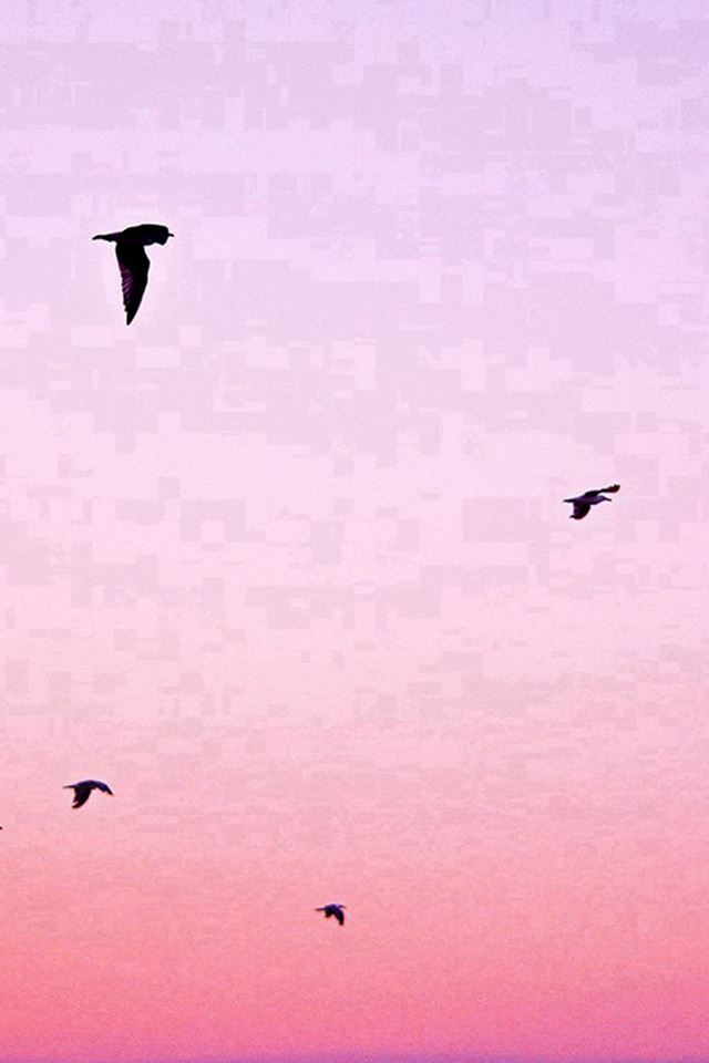 640x960 Sky Bird Pink Red Sunset Nature - bird iPhone 4s Wallpaper