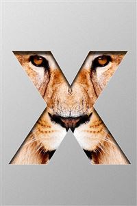 Mac OSX Lion wallpaper