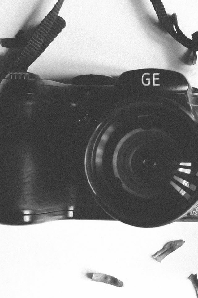 640x960 Camera Branch Leaf Herbarium Bw - bw iPhone 4s Wallpaper