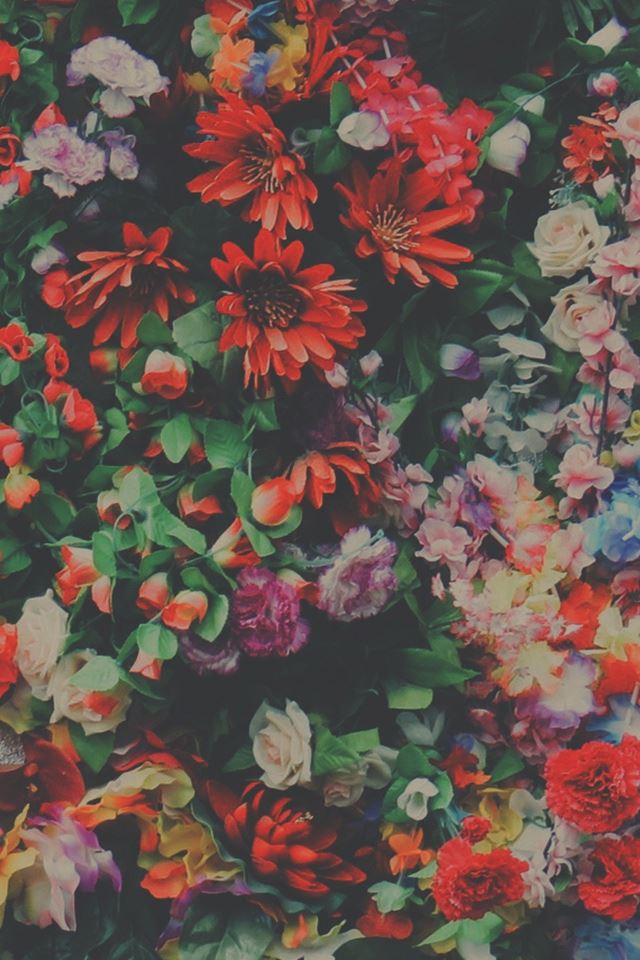 640x960 Carnation Roses Orchids Multiple Flowers - orange iPhone 4s Wallpaper