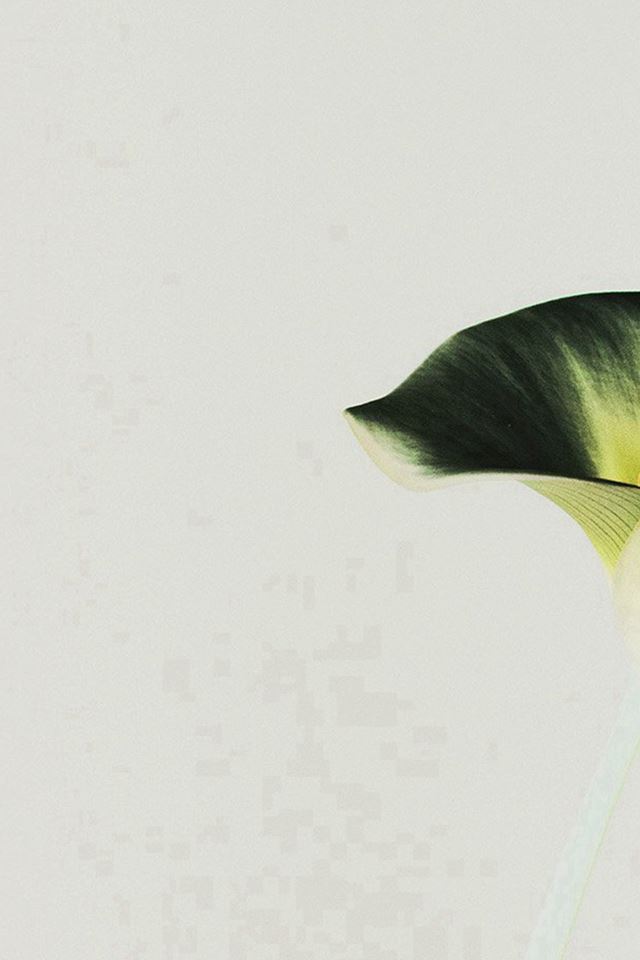 640x960 Lily Flower Minimal Simple Green Nature Inverted -  iPhone 4s Wallpaper