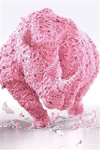 Rubber Rhino wallpaper