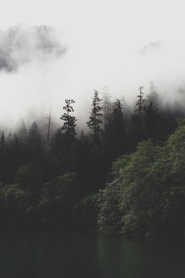 640x960 Mountain Forest Lake Mist - mountain iPhone 4s Wallpaper