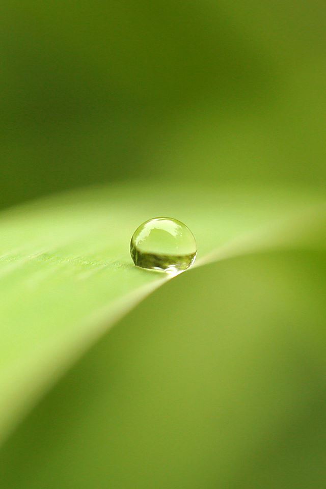 640x960 Dew Drop - drop iPhone 4s Wallpaper