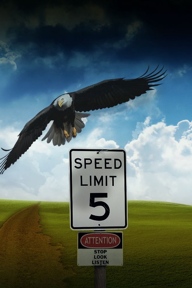 640x960 Eagle Speed Limit - eagle iPhone 4s Wallpaper