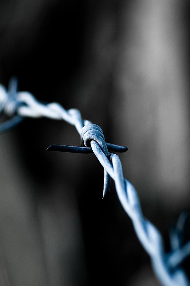 640x960 Barbed Wire - closeups iPhone 4s Wallpaper