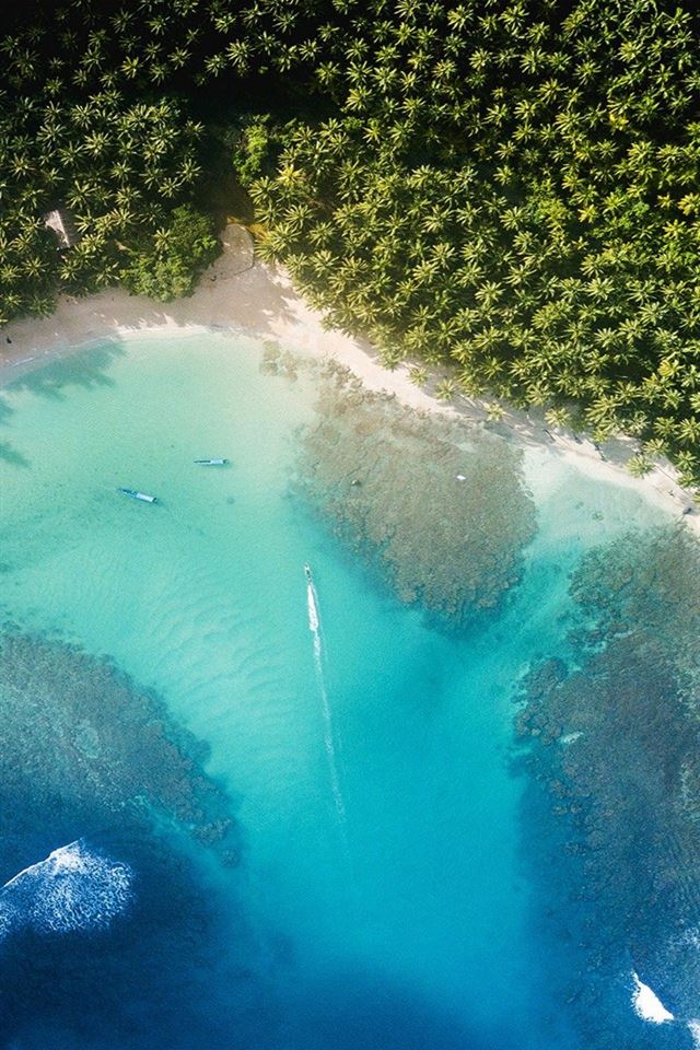 640x960 Beach sea - tree iPhone 4s Wallpaper