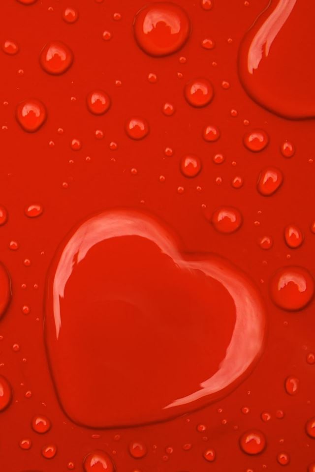 640x960 Love Dew - love iPhone 4s Wallpaper