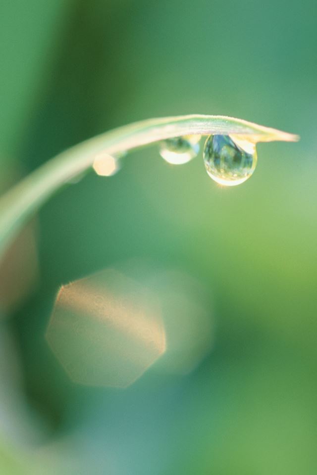 640x960 Water Droplet - droplet iPhone 4s Wallpaper