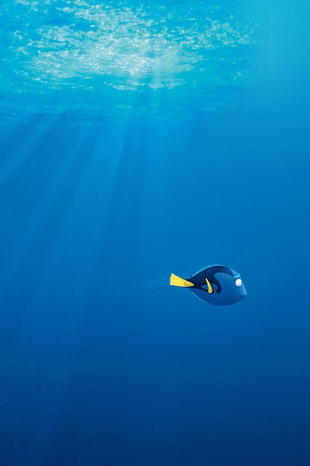 640x960 Looking for dolly - black iPhone 4s Wallpaper