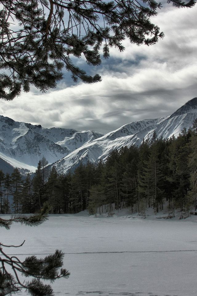 640x960 Snowy Mountains - trees iPhone 4s Wallpaper