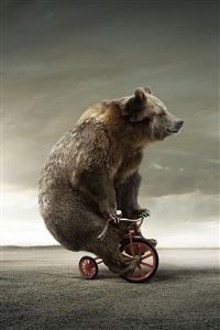 Tricycle Bear wallpaper