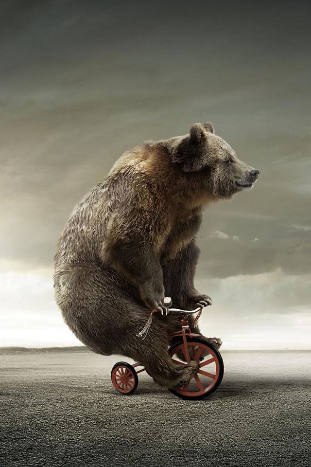 640x960 Tricycle Bear - funny iPhone 4s Wallpaper