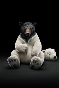 Bear Costume wallpaper