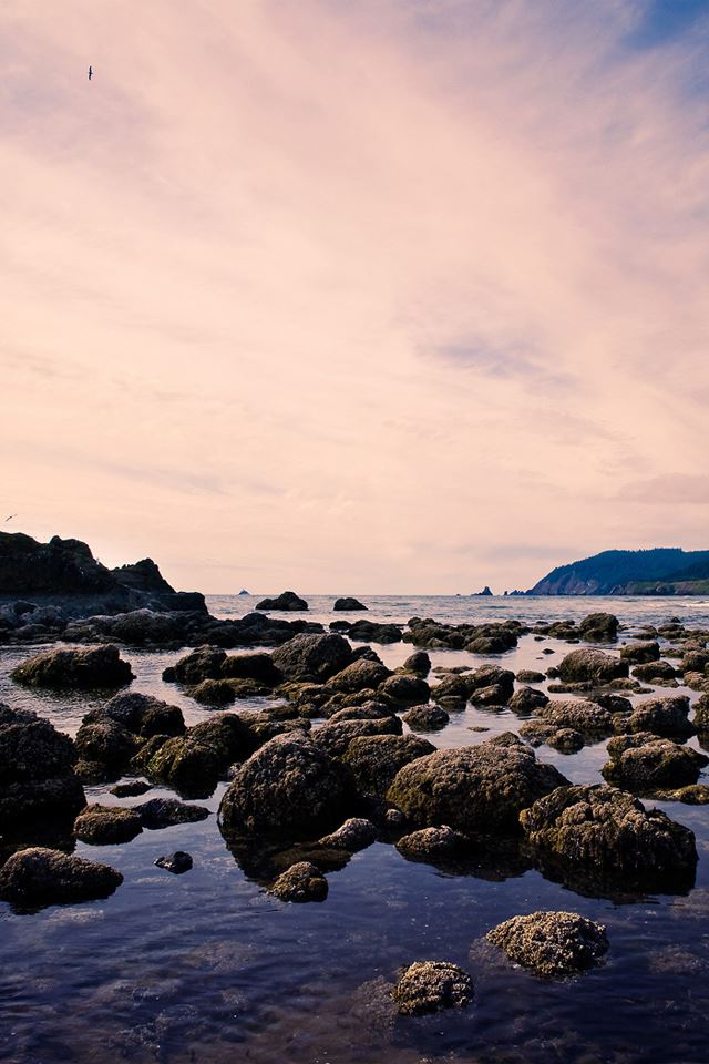 640x960 Shore Rocks - ocean iPhone 4s Wallpaper