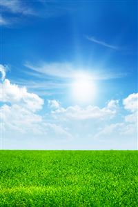 Sunny Glass wallpaper