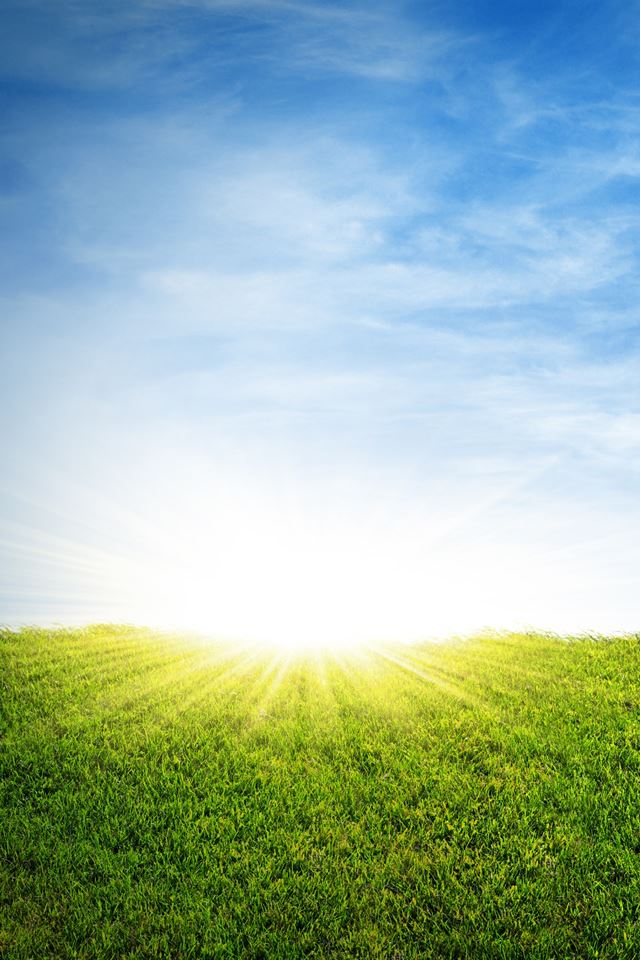 640x960 Grass Sunrise - sunrise iPhone 4s Wallpaper