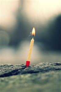 Each Day is a Gift wallpaper