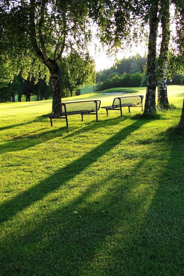 640x960 Outdoors - spring iPhone 4s Wallpaper