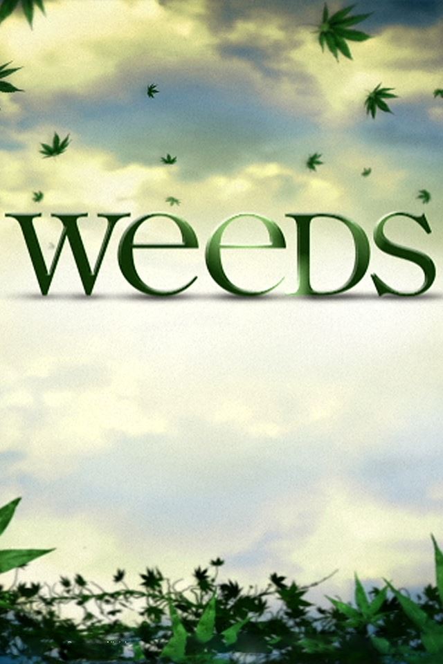 Weeds Logo iPhone 4s wallpaper 