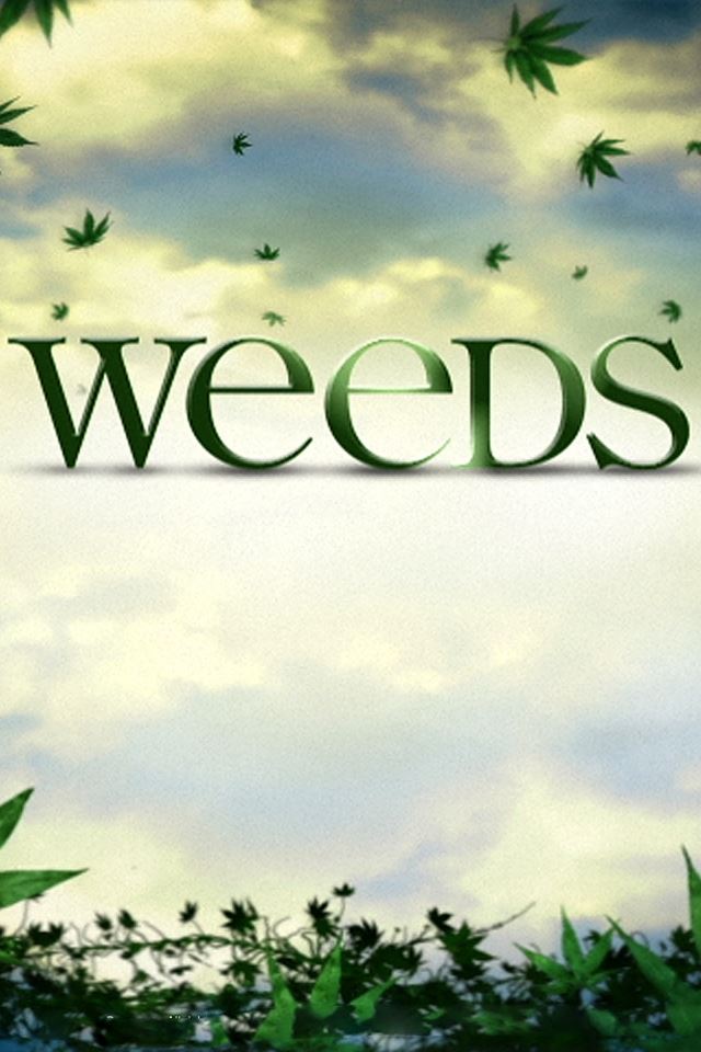 640x960 Weeds Logo - art iPhone 4s Wallpaper