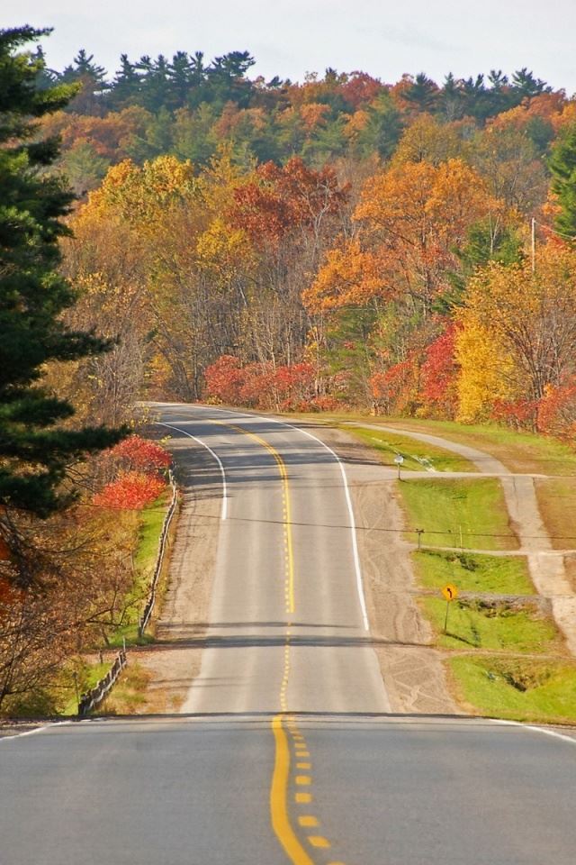 640x960 The road ahead - orange iPhone 4s Wallpaper
