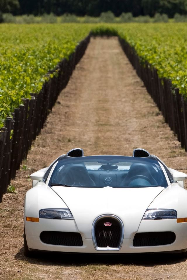 640x960 Veyron Grand Sport front - green iPhone 4s Wallpaper