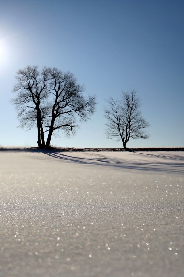 640x960 Sun over snow - sun iPhone 4s Wallpaper