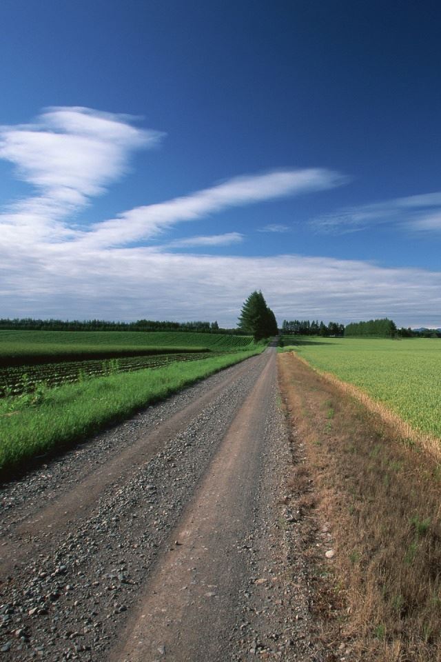 640x960 Straight country road - white iPhone 4s Wallpaper