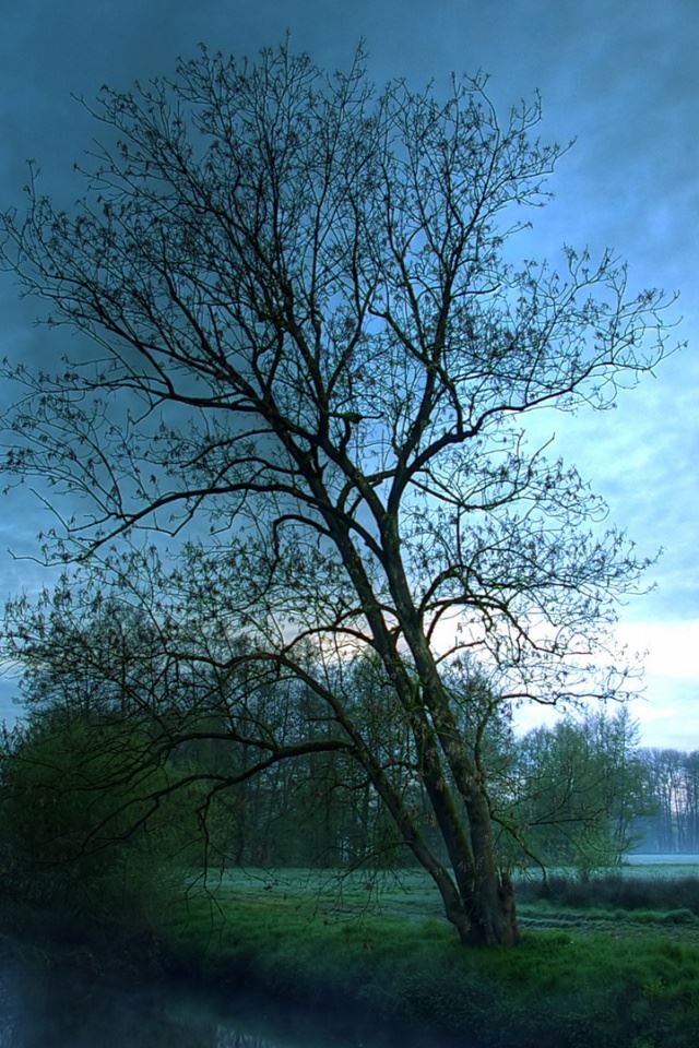 640x960 river evening reflection - reflection iPhone 4s Wallpaper