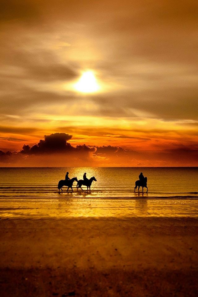 640x960 A Sunset To Remember - sunset iPhone 4s Wallpaper