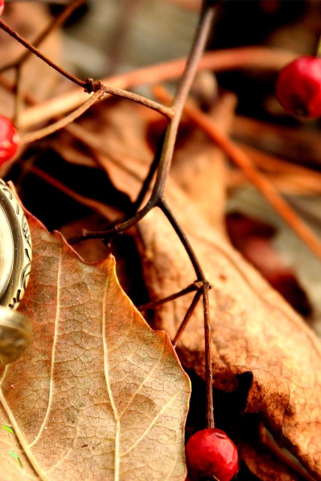 640x960 Beautiful Vintage Watch -  iPhone 4s Wallpaper