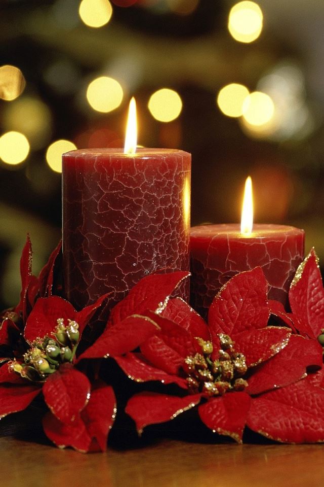 640x960 Candles Flowers -  iPhone 4s Wallpaper