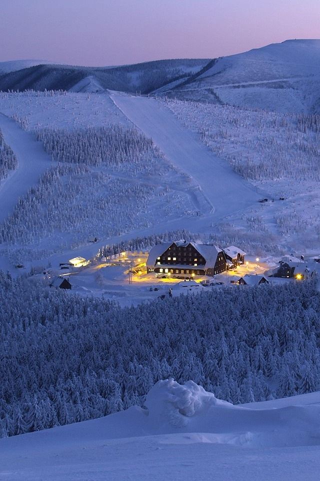 640x960 Snow Night - jungle iPhone 4s Wallpaper
