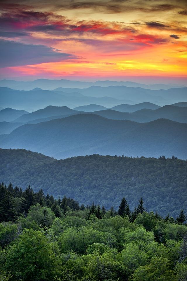640x960 Sunset 2 - forest iPhone 4s Wallpaper