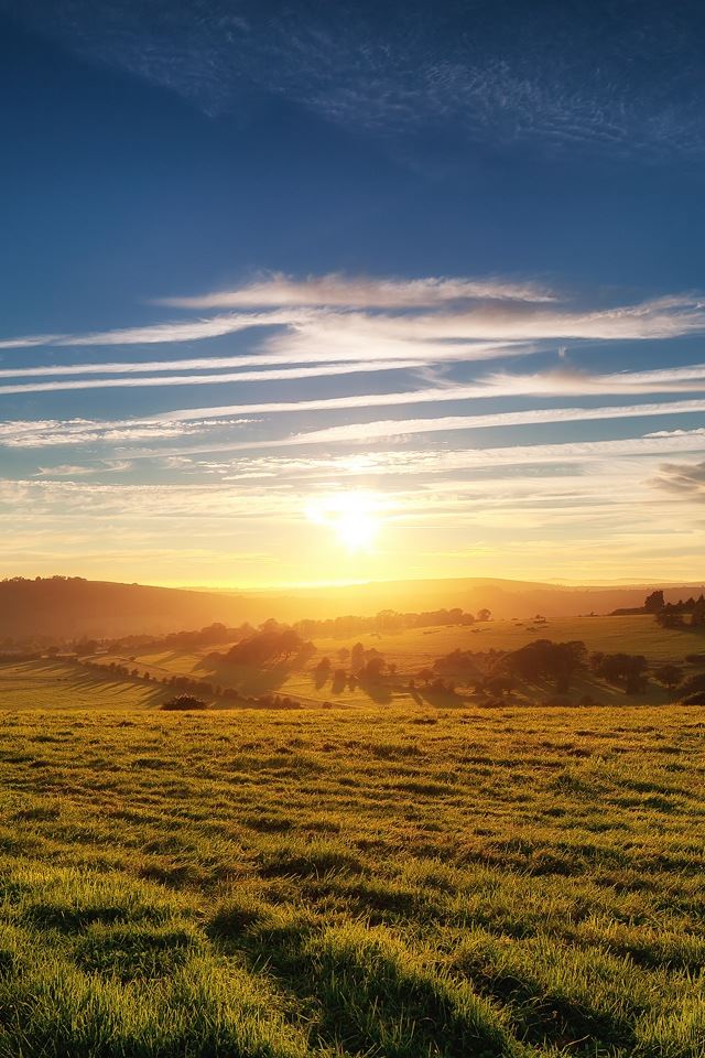 640x960 Grassland - grassland iPhone 4s Wallpaper