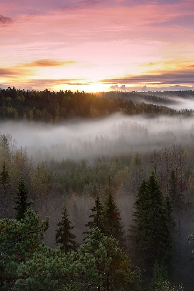 640x960 National Park - mist iPhone 4s Wallpaper