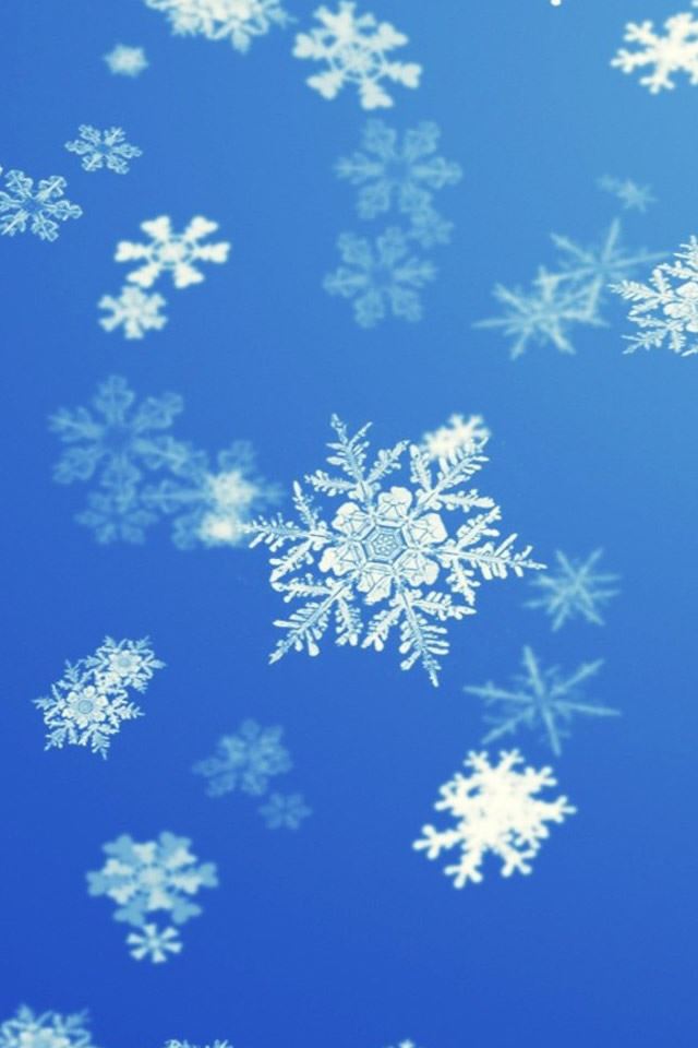 640x960 Snowflakes - snowflakes iPhone 4s Wallpaper