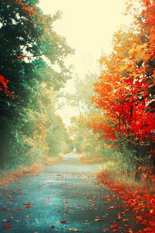 640x960 Red Trees 2 - leafs iPhone 4s Wallpaper