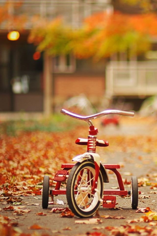 640x960 Tricycle - orange iPhone 4s Wallpaper