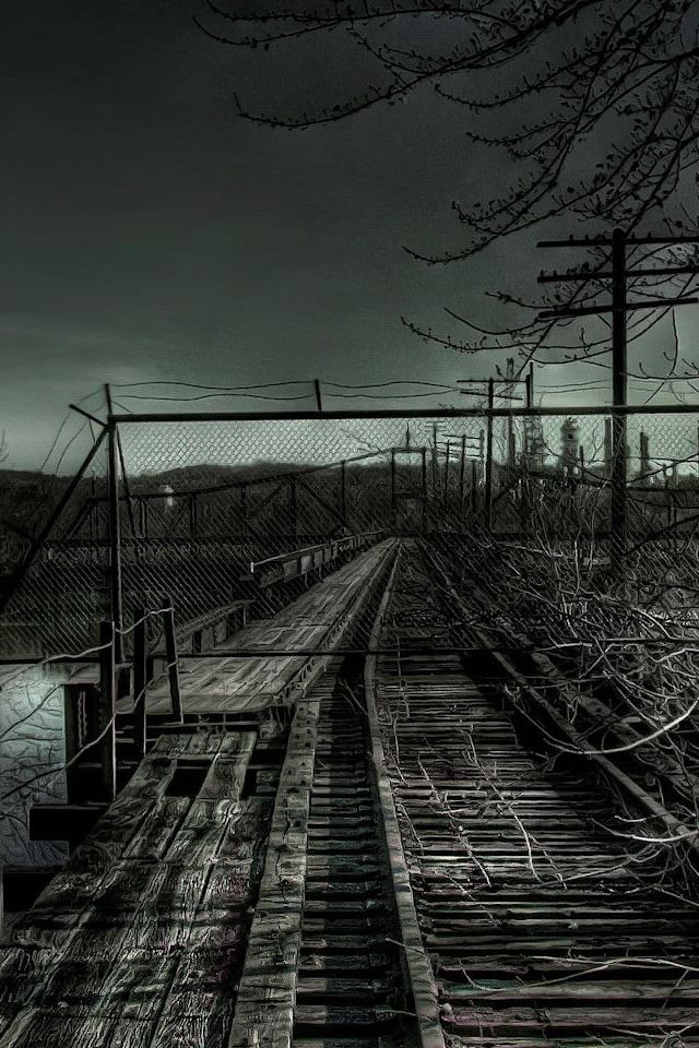 640x960 Old Railroad - tree iPhone 4s Wallpaper