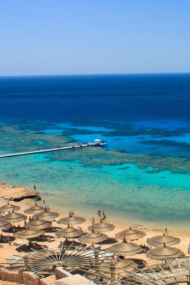 640x960 Hotel Room Reef View - cyan iPhone 4s Wallpaper