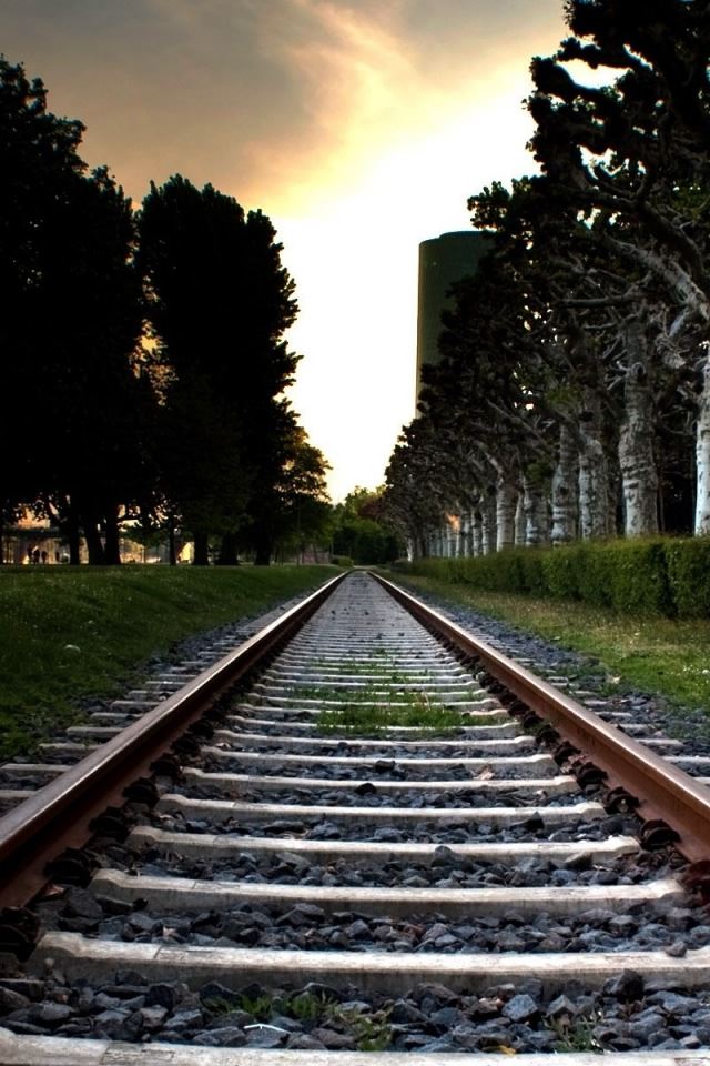 640x960 Railroad Track - tree iPhone 4s Wallpaper