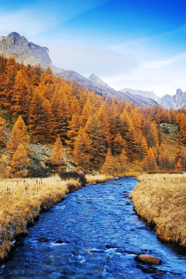 640x960 Through the forest river - through iPhone 4s Wallpaper