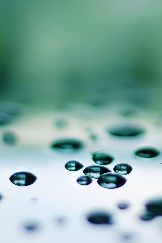 640x960 Drops Macro 2 - drops iPhone 4s Wallpaper