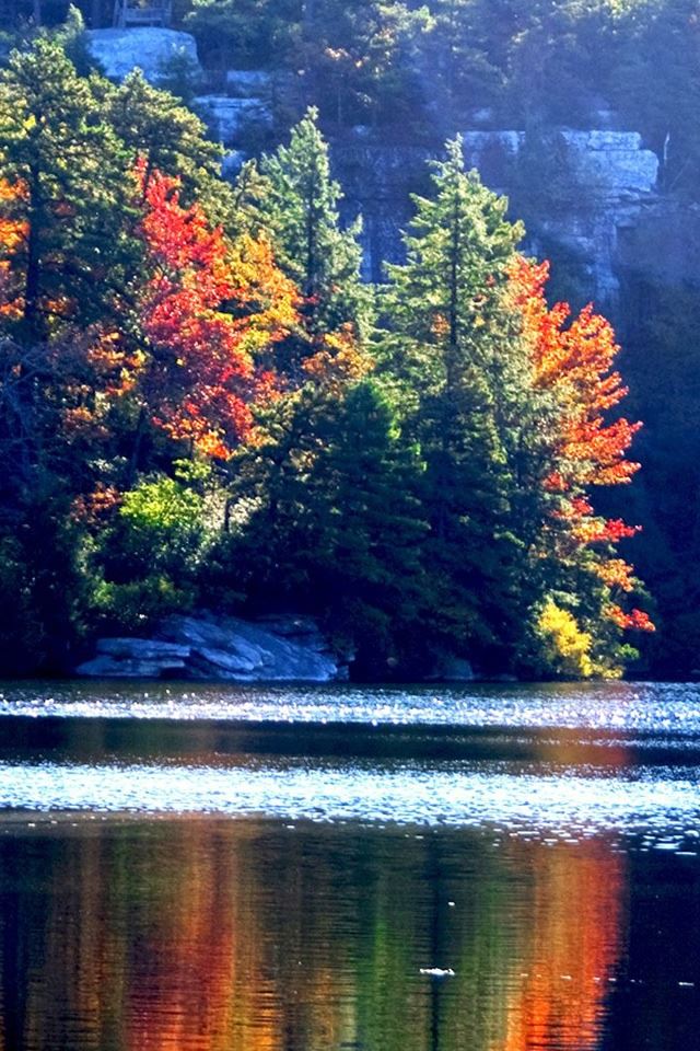 640x960 Lake Minnewaska - tree iPhone 4s Wallpaper