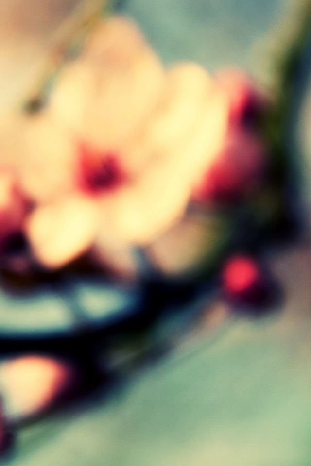 640x960 Cherry Blossom In Spring - spring iPhone 4s Wallpaper