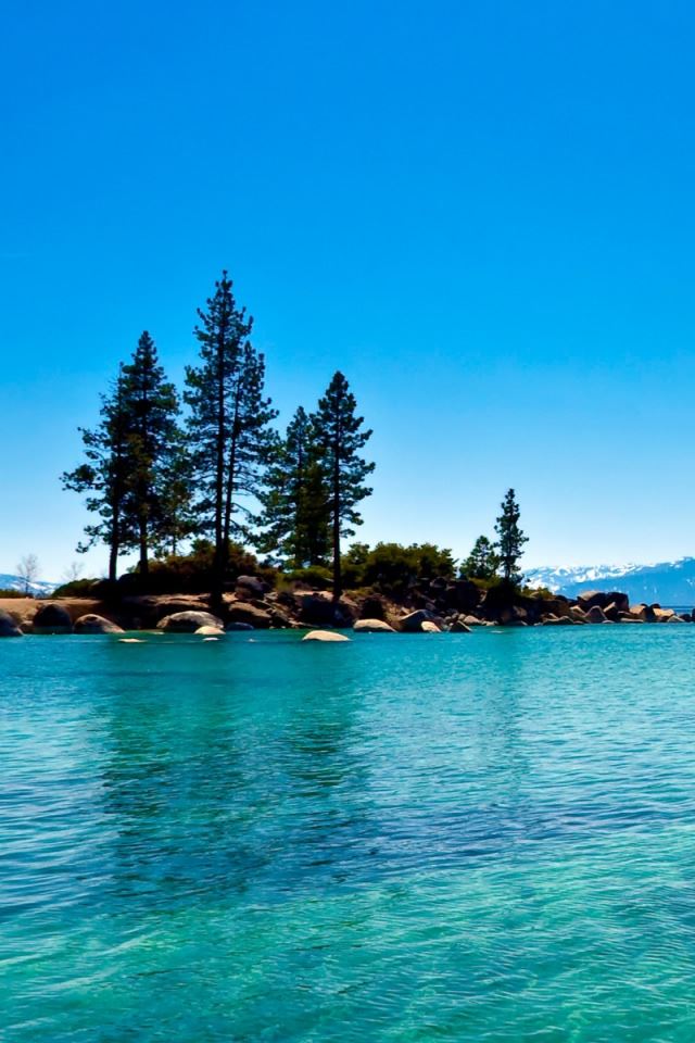 640x960 Lake Tahoe California - tree iPhone 4s Wallpaper