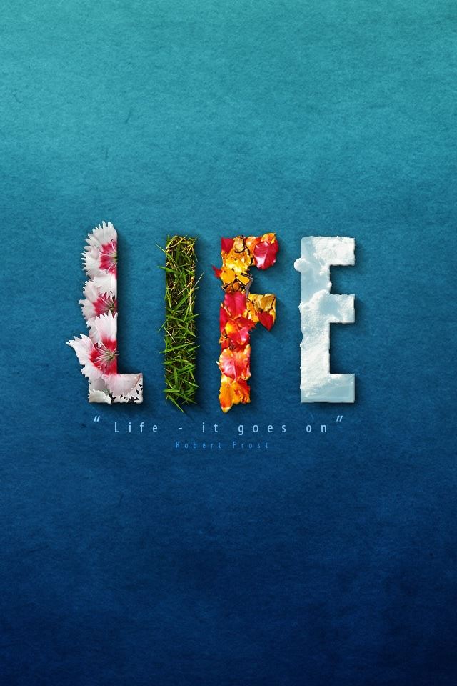 640x960 Life It Goes On -  iPhone 4s Wallpaper